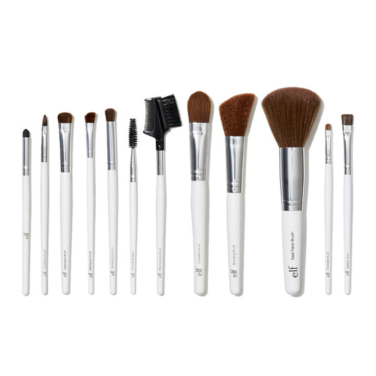 Professional Brush Kit